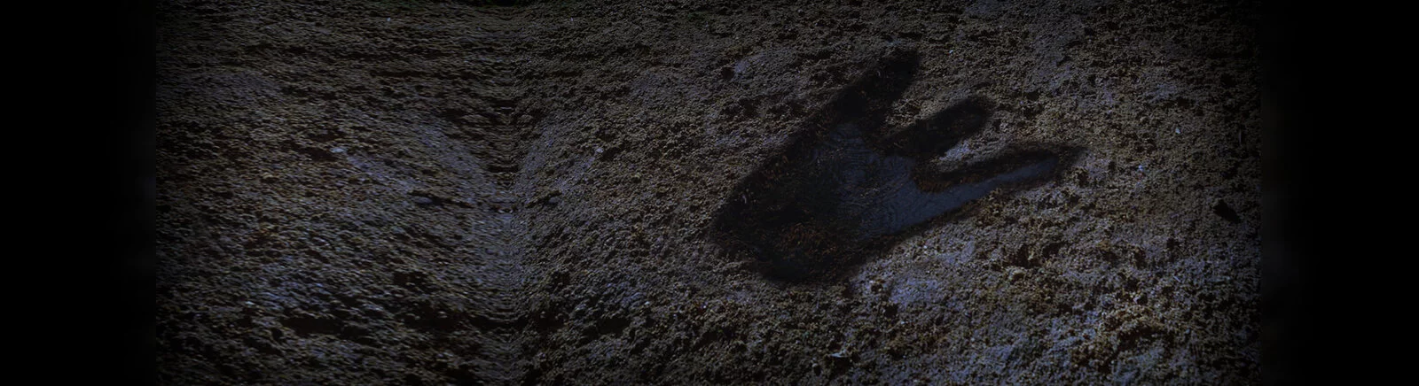 Ucuz Close Combat (Close Combat: Prenez le commandement de véritables soldats) satın al, %90'a varan indirimler 🏷️, farklı mağazalarda fiyat karşılaştırması