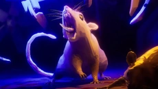 Cyber Rats