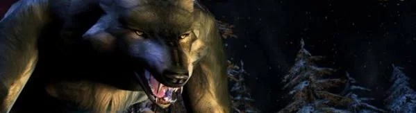 Negatif yorumlar hakkında Elder Scrolls 3: Bloodmoon — 0 görüş
