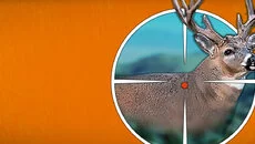 Hunting Simulator 2 Hunting Simulator 2 ile benzer