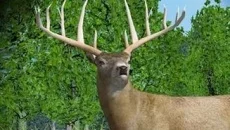 Hunting Unlimited 4 Hunting Unlimited 4 ile benzer