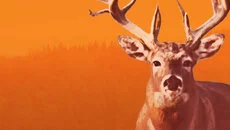 Hunting Unlimited 4 Hunting Unlimited 4 ile benzer