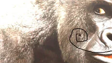 Monkey Business (1986) - Eğitici oyun (Eğitim) türünde bir oyun