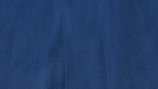 Napoleon - Sıra tabanlı türünde bir oyun