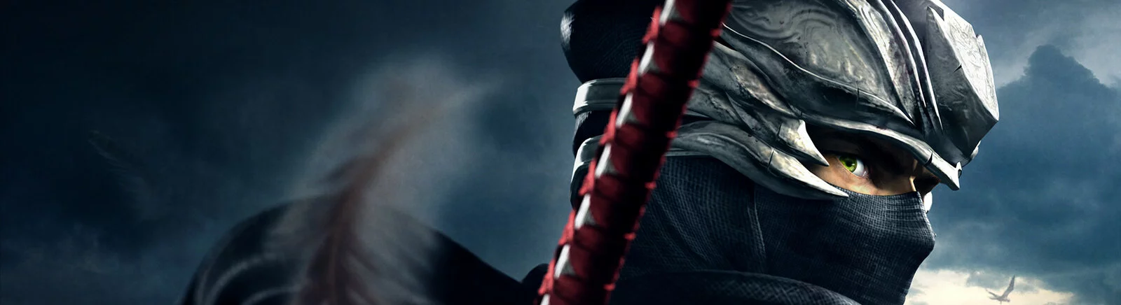 Farklı ülkelerde Ninja Gaiden 2 çıkış tarihi