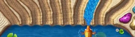 Forum Splash