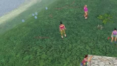 Survival: The Ultimate Challenge