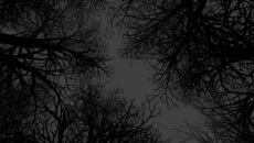 Witch Hunt - Ek içerik türünde bir oyun