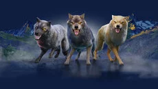 Wolf - Eğitici oyun (Eğitim) türünde bir oyun