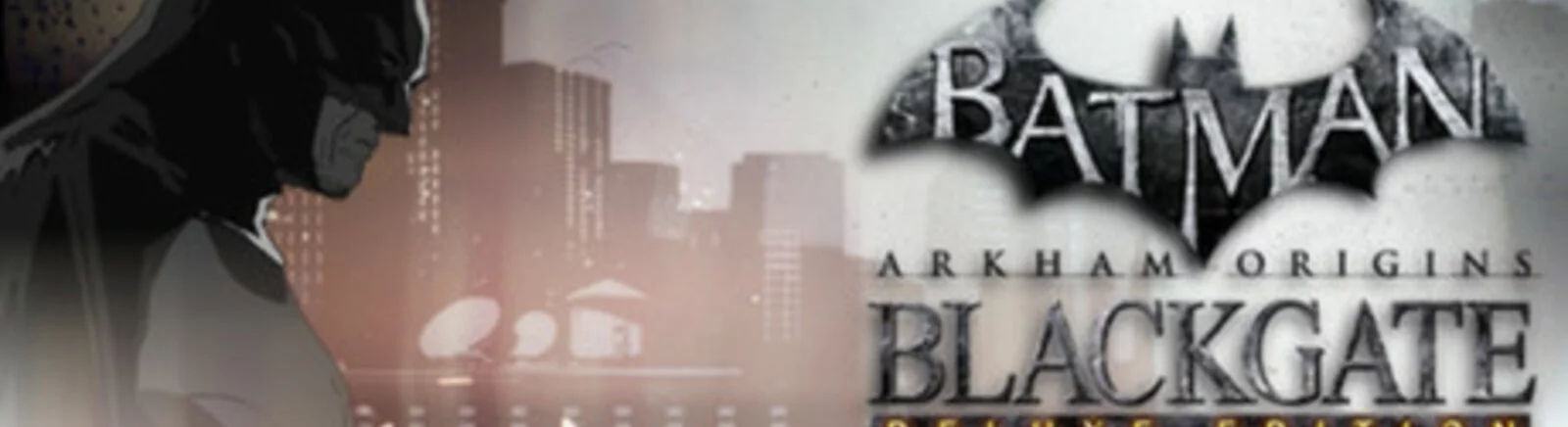 Batman: Arkham Origins - Blackgate — Kaydetme [Steam Lisansı] / Kayıtlar / Hileler