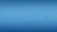 Colin McRae: DiRT 2 Colin McRae: DiRT 2 ile benzer