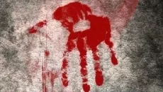 How to Survive 2 How to Survive 2 ile benzer