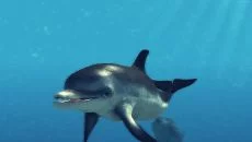 Depth Hunter 2: Deep Dive