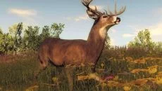 theHunter theHunter ile benzer