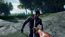 Culling