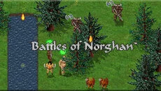 Battles of Norghan - Sıra tabanlı türünde bir oyun