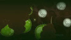 Rayman 3: Hoodlum Havoc Rayman 3: Hoodlum Havoc ile benzer