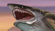 Feed and Grow: Fish Feed and Grow: Fish ile benzer