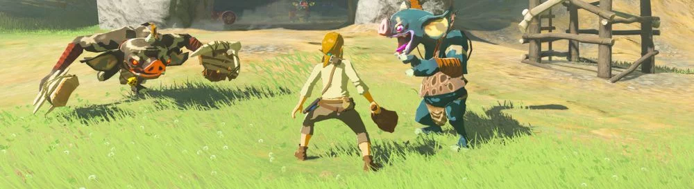 Ucuz The Legend of Zelda: Breath of the Wild satın al, %90'a varan indirimler 🏷️, farklı mağazalarda fiyat karşılaştırması