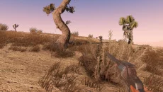 Sunset Rangers - MMO türünde bir oyun