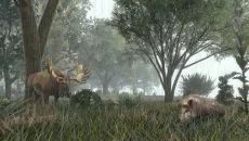 Dawn of Man Dawn of Man ile benzer