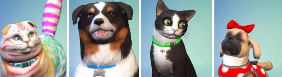 Farklı ülkelerde Sims 4: Cats & Dogs (Sims 4: Cats and Dogs) çıkış tarihi