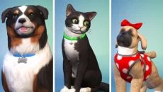 Sims Sims ile benzer