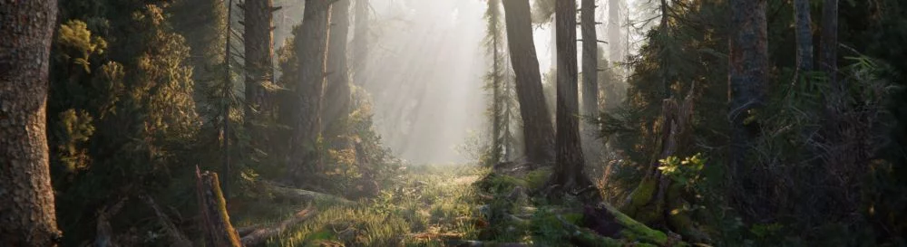 Ucuz Book of the Dead satın al, %90'a varan indirimler 🏷️, farklı mağazalarda fiyat karşılaştırması