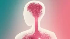 Bridge Constructor Portal Bridge Constructor Portal ile benzer