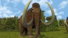 Buoyancy Buoyancy ile benzer