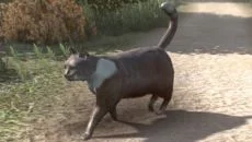 Goat Simulator Payday Goat Simulator Payday ile benzer