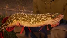 Ultimate Fishing Simulator Ultimate Fishing Simulator ile benzer