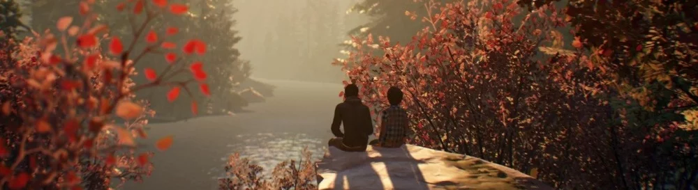 Farklı ülkelerde Life is Strange 2 - Episode 1: Roads çıkış tarihi