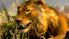 Cabela's Ultimate Deer Hunt 2 Cabela's Ultimate Deer Hunt 2 ile benzer