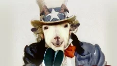 Goat Simulator Payday Goat Simulator Payday ile benzer