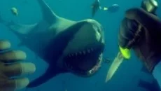 Deep Diving Simulator