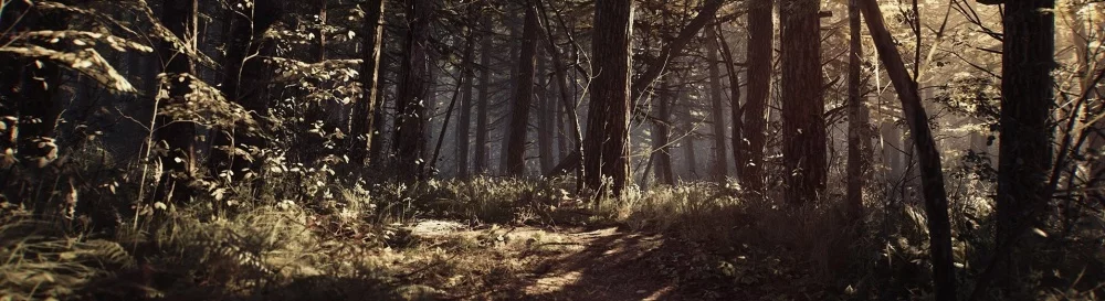 Tüm yorumlar ve değerlendirmeler Blair Witch — 4 görüş