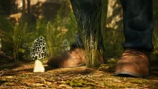 theHunter theHunter ile benzer