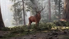 The Last Caretaker The Last Caretaker ile benzer