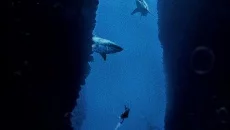 Penumbra: Overture - Episode 1 Penumbra: Overture - Episode 1 ile benzer