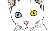 Play With Gilbert - A Small Tail Play With Gilbert - A Small Tail ile benzer