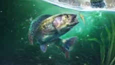 Ultimate Fishing Simulator Ultimate Fishing Simulator ile benzer