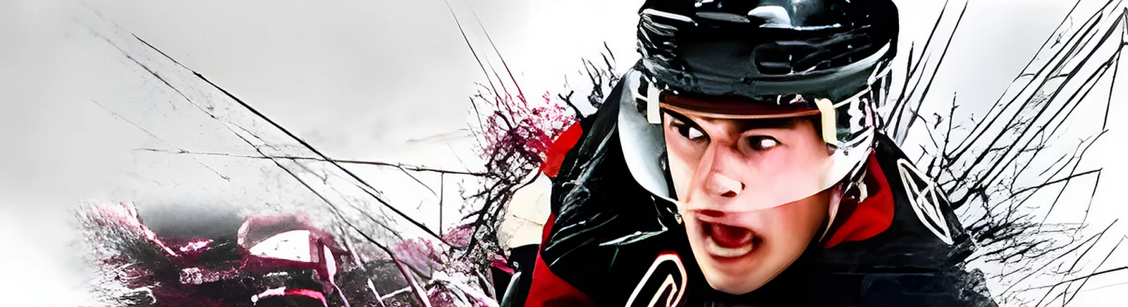 Karmaşık incelemeler NHL 11 hakkında — 0 görüş
