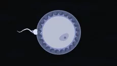 Reigns: Her Majesty Reigns: Her Majesty ile benzer