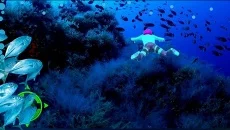 LEGO Batman 3: Beyond Gotham LEGO Batman 3: Beyond Gotham ile benzer