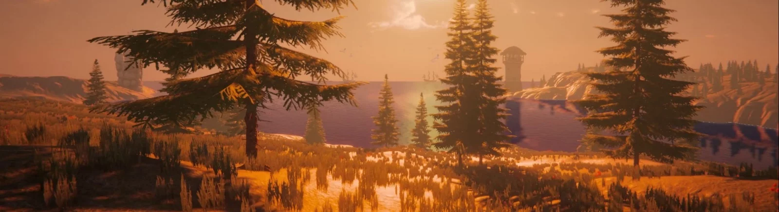 Farklı ülkelerde Wild Dose çıkış tarihi