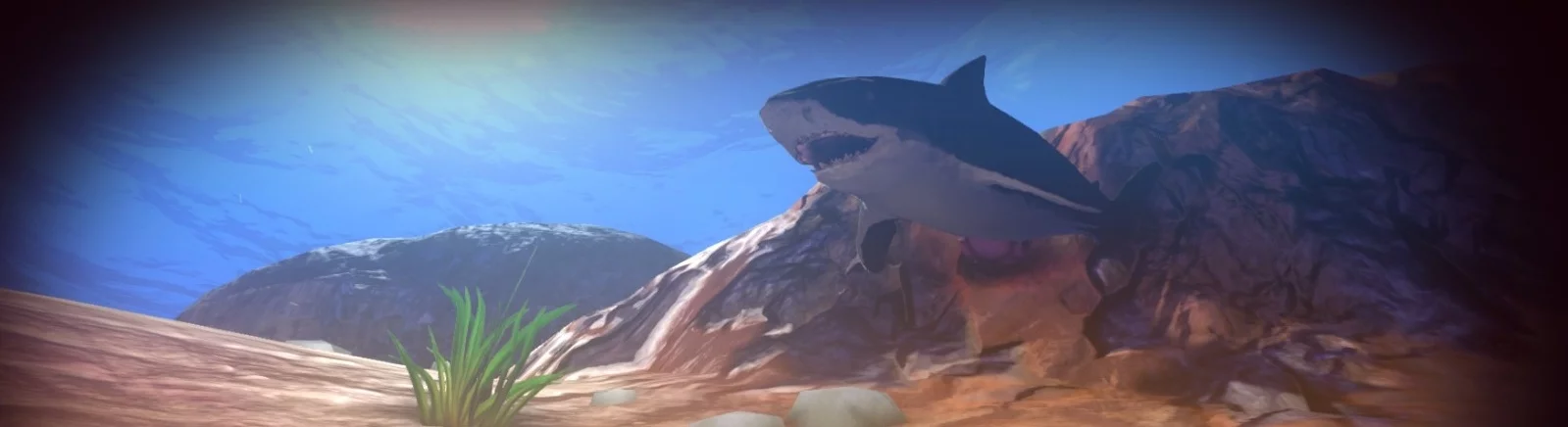 Forum Feed and Grow: Fish