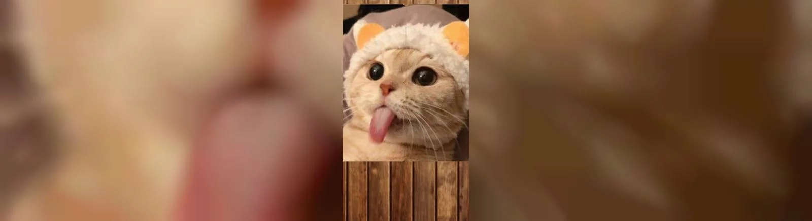 Negatif yorumlar hakkında Healing Matching Puzzle — 0 görüş