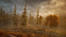 A.I.L.A A.I.L.A ile benzer