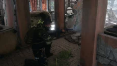 Dead Survival